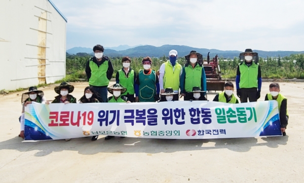 남보은농협， 농협중앙회， 한국전력은 일손부족을 겪고 있는 조합원 농가를 방문해 일손돕기를 펼치고 기념촬영을 했다.
